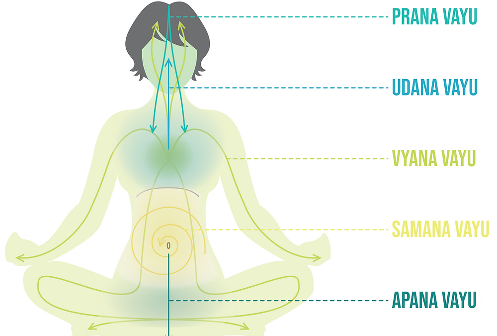 Understanding the Pancha Pranas: The Five Vital Energies