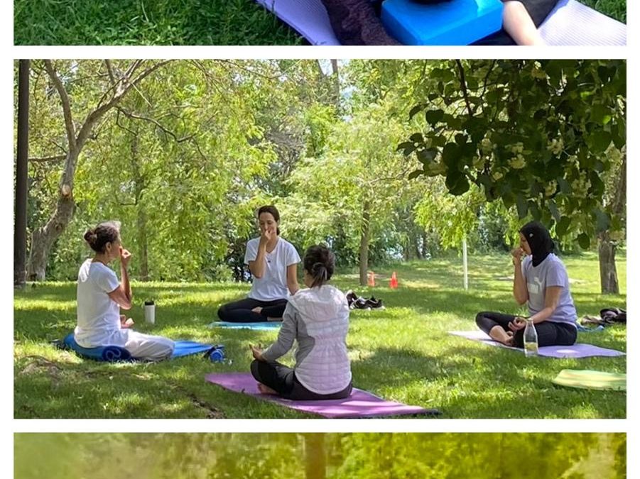 How Group Yoga Therapy Differs from Regular Yoga Classes