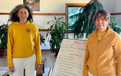 Introducing the Narayani Assessment™